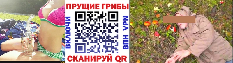 продажа наркотиков  Весьегонск  Псилоцибиновые грибы мухоморы 